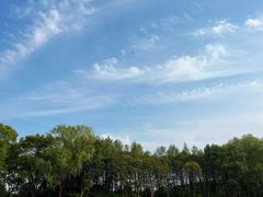 -贡湖湾湿地公园
