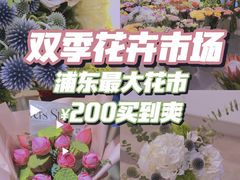 -双季花艺园艺市场(浦东店)