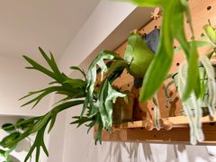 -1861意大利餐厅(来福士店)