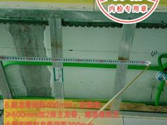 -大树装饰·十年本土家装
