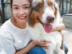-TrueLove @ Neverland (Husky Cafe)