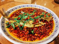 -杨记隆府(重庆总店)