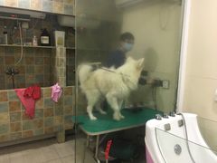 -佳雯宠物医院(四明中路分院)