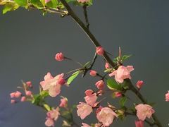 -武定门公园