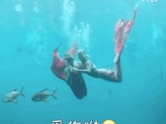 -瑞德姆美人鱼海底演艺主题餐厅(亚龙湾店)