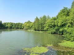 -东湖落雁景区