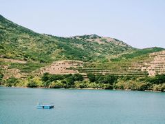 -每日新鲜水果吧(南京东路店)