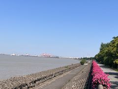 -上海滨江森林公园