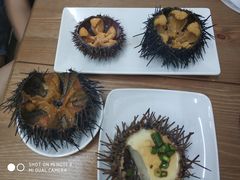 -海胆小馆(东北水饺·春柳店)