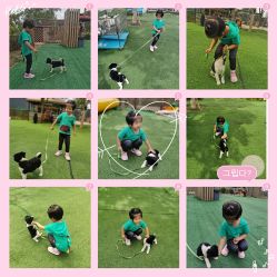 -萌宠亲子动物乐园(槐房万达店)