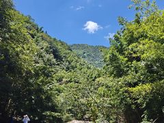 -井空里大峡谷