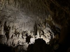 -怀托摩萤火虫洞