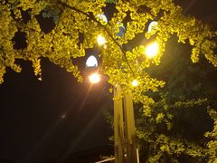 -四川大学(望江校区)