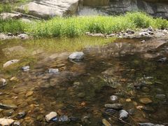 -碓臼峪自然风景区