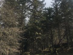 -硗碛藏寨·神木垒景区