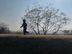 -盘龙城国家考古遗址公园