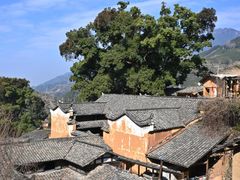 -杨家堂村