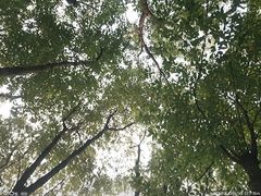 -合肥生态公园