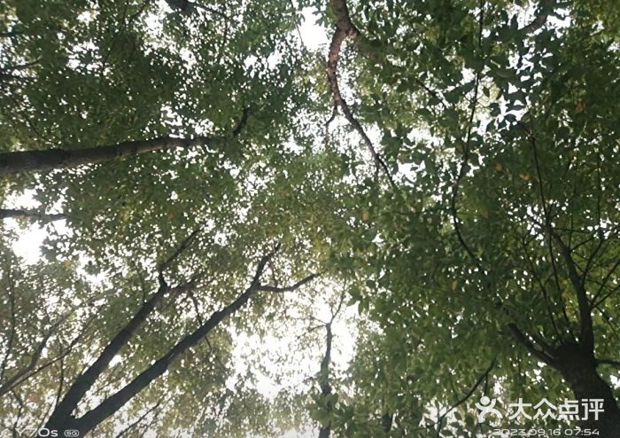 合肥生态公园图片