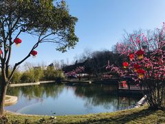 -终南山南五台景区