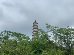 -巢湖姥山岛