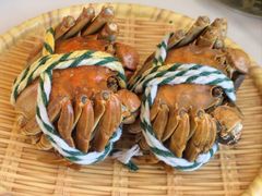 -丫丫蟹庄·苏式园林农家乐·阳澄湖大闸蟹(阳澄湖莲花岛店)