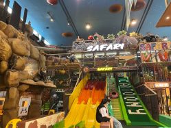 -卡通尼·Safari非洲探索乐园·生日会(金桥国际商业广场店)