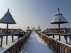 -红海滩国家风景廊道