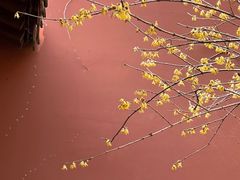 -钱王祠
