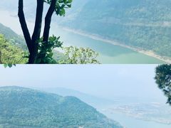 -铁山坪森林公园