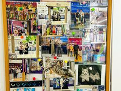 -青奢宠物·青奢猫舍