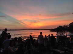 -宝安西湾红树林湿地公园