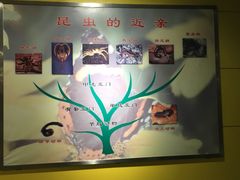 -上海昆虫博物馆