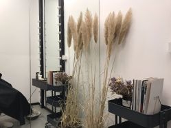 -Hair Co.一间沙龙