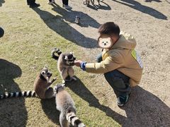 -无锡动物园·太湖欢乐园