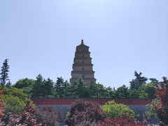 -大慈恩寺(大雁塔)