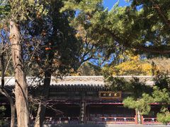 -潭柘寺景区