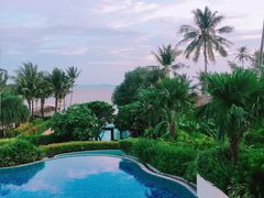 -椰树岛海滩度假村