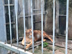 -水绘园