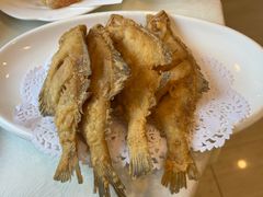 -天天渔港(杏林街店)