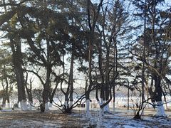 -长春市南湖公园