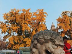-北京石刻艺术博物馆(五塔寺)