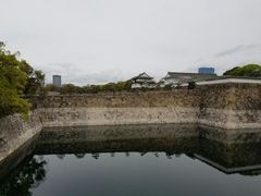 -维乐口腔医院(星海湾分院)