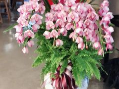 -manabe (共和新路店)