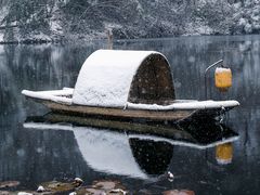 -南京老山国家森林公园