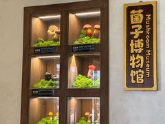 -菌自由丨野生菌火锅特色庭院餐厅(丽江古城店)