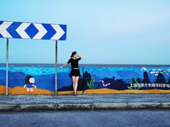 -南汇嘴观海公园