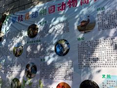 -攀枝花公园