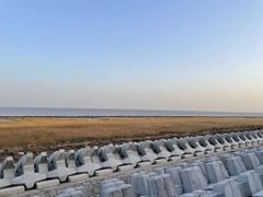 -南汇嘴观海公园