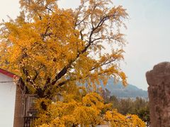 -金堂县云顶石城风景区